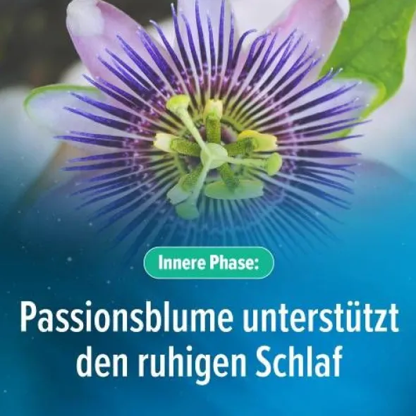 HOGGAR Melatonin DUO Einschlaf-Kapseln 30 St