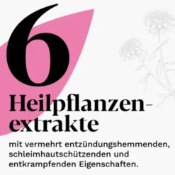 IBEROGAST ADVANCE Flüssigkeit zum Einnehmen 20 ml