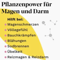 IBEROGAST ADVANCE Flüssigkeit zum Einnehmen 100 ml