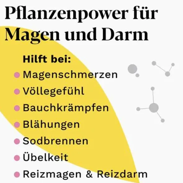 IBEROGAST ADVANCE Flüssigkeit zum Einnehmen 100 ml