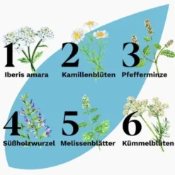 IBEROGAST ADVANCE Flüssigkeit zum Einnehmen 100 ml