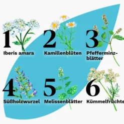 IBEROGAST ADVANCE Flüssigkeit zum Einnehmen 50 ml