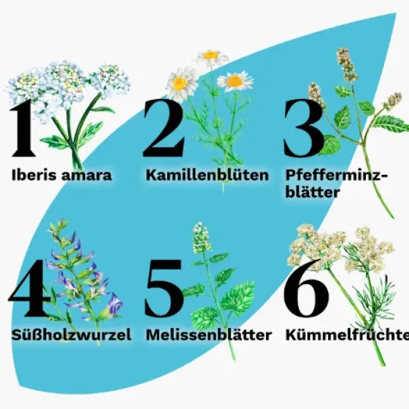 IBEROGAST ADVANCE Flüssigkeit zum Einnehmen 50 ml