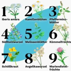 IBEROGAST Classic Flüssigkeit zum Einnehmen 50 ml