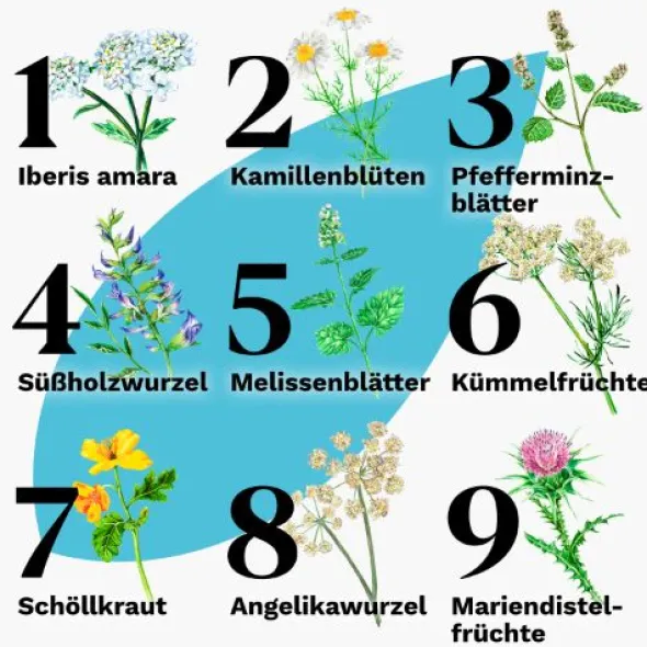 IBEROGAST Classic Flüssigkeit zum Einnehmen 50 ml