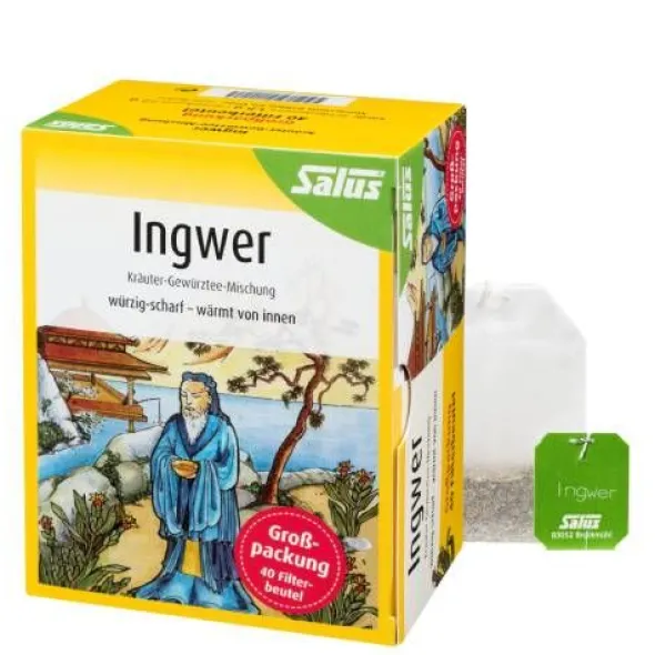 INGWER KRÄUTER-GEWÜRZTEE-Mischung Bio Salus Fbtl. 40 St