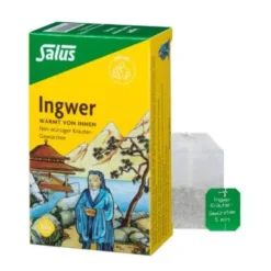 INGWER KRÄUTER-GEWÜRZTEE Salus Filterbeutel 15 St