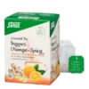 INGWER ORANGE Spicy Tee Salus Filterbeutel 15 St