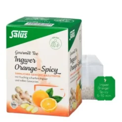INGWER ORANGE Spicy Tee Salus Filterbeutel 15 St