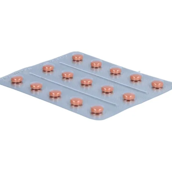 KLIMADYNON Filmtabletten 90 St