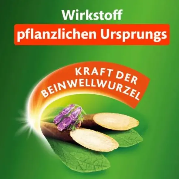KYTTA Schmerzsalbe 50 g
