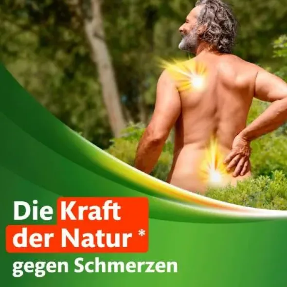 KYTTA Schmerzsalbe 100 g