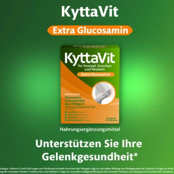 KYTTAVIT Extra Glucosamin Kombipackung 2X30 St