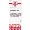 LYCOPODIUM C 30 Globuli 10 g