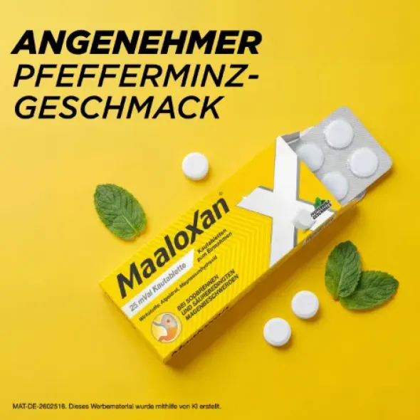 MAALOXAN 25 mVal Kautabletten 100 St