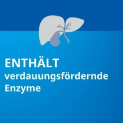PANKREATIN STADA 20.000 magensaftres.Hartkapseln 100 St
