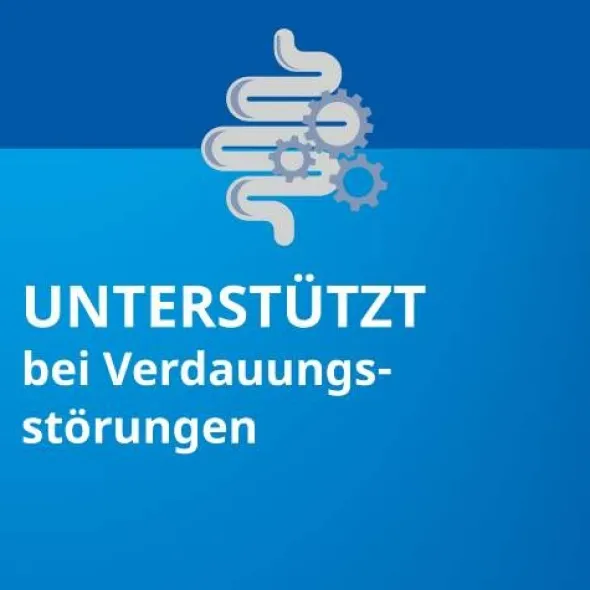 PANKREATIN STADA 20.000 magensaftres.Hartkapseln 100 St