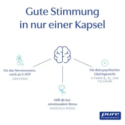 PURE ENCAPSULATIONS Mood Formel Kapseln 30 St