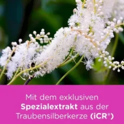 REMIFEMIN mono Tabletten 90 St