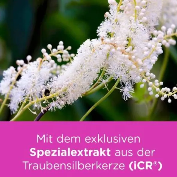 REMIFEMIN mono Tabletten 30 St