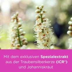 REMIFEMIN plus Johanniskraut Filmtabletten 180 St