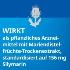 SILYMARIN STADA 156 mg Hartkapseln 100 St