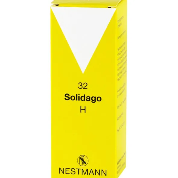 SOLIDAGO H 32 Tropfen 100 ml