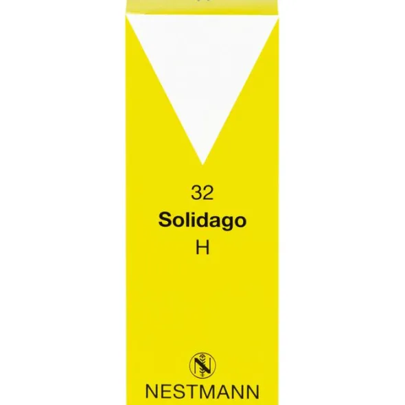 SOLIDAGO H 32 Tropfen 100 ml
