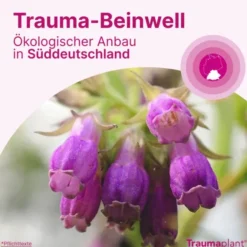 TRAUMAPLANT Schmerzcreme 150 g