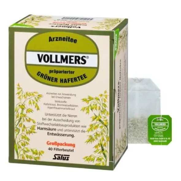 VOLLMERS präparierter grüner Hafertee Filterbeutel 40 St